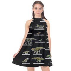 Dinosaurs Names Halter Neckline Chiffon Dress  by Valentinaart