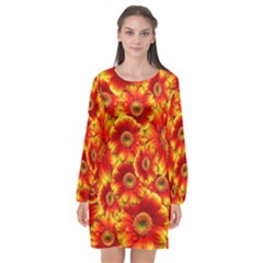 Gerbera Flowers Nature Plant Long Sleeve Chiffon Shift Dress  by Nexatart