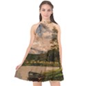 Landscape Halter Neckline Chiffon Dress  View1