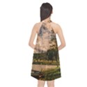 Landscape Halter Neckline Chiffon Dress  View2