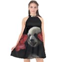 Boxing panda  Halter Neckline Chiffon Dress  View1