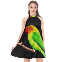 Parrot  Halter Neckline Chiffon Dress  by Valentinaart