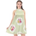 green shabby chic Halter Neckline Chiffon Dress  View1