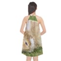 Beautiful Blue Eyed Bunny On Green Grass Halter Neckline Chiffon Dress  View2