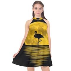 Moon Reflection Flamenco Animal Halter Neckline Chiffon Dress  by Simbadda