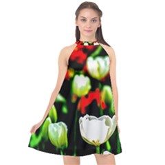 White And Red Sunlit Tulips Halter Neckline Chiffon Dress  by FunnyCow