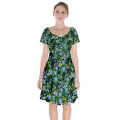 Blue Luminescent Roses Short Sleeve Bardot Dress by snowwhitegirl