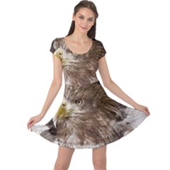 Sea Eagle Raptor Nature Predator Cap Sleeve Dress by Pakrebo