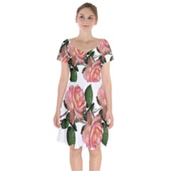 Roses Flowers Perfume Garden Short Sleeve Bardot Dress by Pakrebo