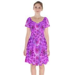 Nature Blossom Plant Flower Purple Petal Bloom Pattern Pollen Pink Flora Flowers Dahlia Design Beaut Short Sleeve Bardot Dress by Vaneshart