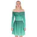 Biscay Green Gradient Ombre Off Shoulder Skater Dress View1