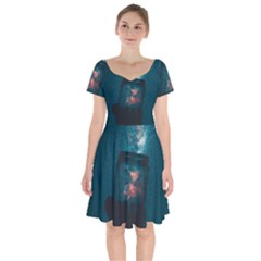 Swimming  Short Sleeve Bardot Dress by artworkshop