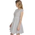 Grey Goose	 - 	Cap Sleeve High Waist Dress View2