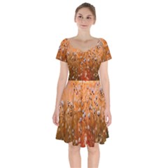 Late Afternoon Short Sleeve Bardot Dress by artworkshop