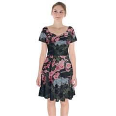 Pink Peony  Flower Short Sleeve Bardot Dress by artworkshop