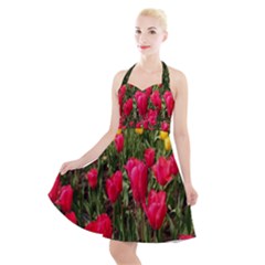 Yellow Pink Red Flowers Halter Party Swing Dress  by Azkajaya