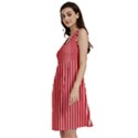 Strip Red White Pattern Classic Skater Dress View2