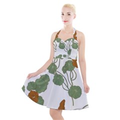 Nasturtium Flowers Plant Leaves Halter Party Swing Dress  by Salmanaz77