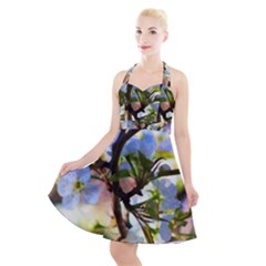 Springtime Pear Tree Blossoms Halter Party Swing Dress  by ExtraAwesomeSauce